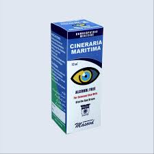 Image result for Cineraria maritima