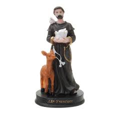 Image result for foto são francisco