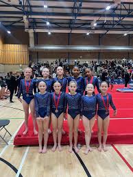 Image result for Warrington Gymnastics Club
