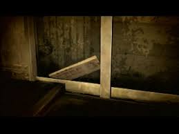 「ソル・ジャクソン」の画像検索結果