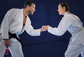 Image result for Springwood Karate