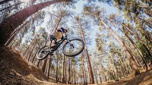 Image result for Epping Forest Mountain Bike Club