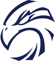 Image result for Normanton Falcons Netball Club