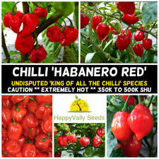 Afbeeldingsresultaat voor earl faux tomato