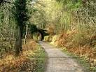 This bridge has no road - via Daymix