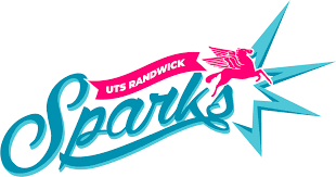 Image result for Sparks Netball Bristol