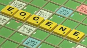 Image result for Brighton & Hove Scrabble Club