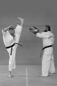 Image result for Alford Choi Kwang-Do