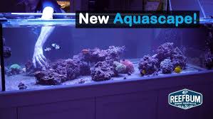 Image result for Peninsula Sub Aqua