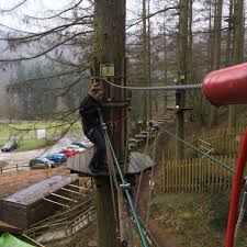 Image result for Go Ape! Dalby