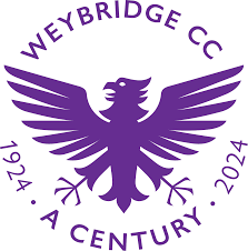 Image result for Weybridge Cricket Club