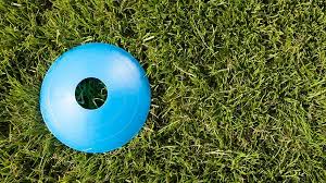 Image result for Bristol Dockers