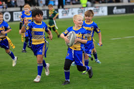 Image result for Holderness Vikings Amateur Rugby League Football Club