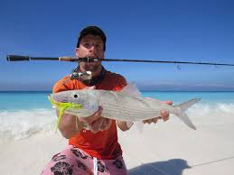 Image result for Albula glossodonta