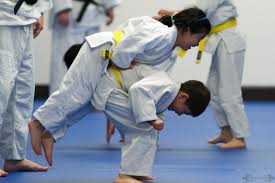 Image result for yonju dojo