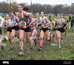 Image result for Lincoln Wellington Ac