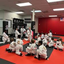 Image result for Freedom Martial Arts