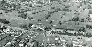 Image result for Brentwood Scrabble Club