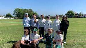 Image result for Holmfirth Cc