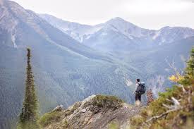 Image result for Leek Park B C