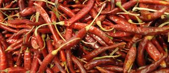 Afbeeldingsresultaat voor chile de arbol hot pepper