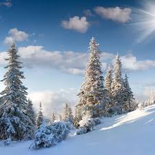 Image result for schnee