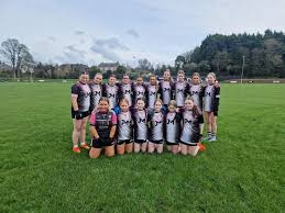 Image result for St Peter`s Gaa