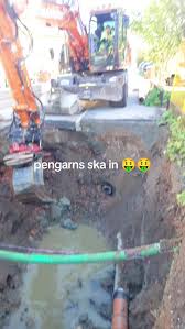 Image result for Muhammad als Rondellhund