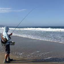 Image result for SHIRLEY SEA ANGLING CLUB