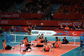 Image result for Nottingham Rockets Sitting Volleyball