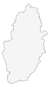 Attēlu rezultāti vaicājumam “Proutia betulina larva”