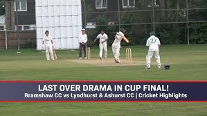 Image result for Lyndhurst Cricket Club
