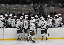 Image result for York University Street Hockey Club