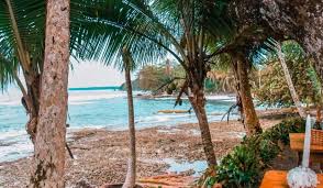 Image result for cahuita costa rica