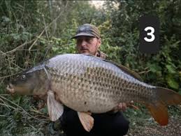 Image result for Hull & District Anglers' Association