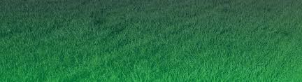 Image result for Astroturf
