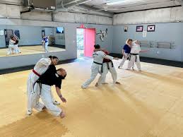 Image result for Turners Tae Kwon Do