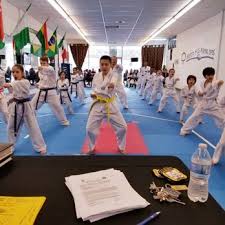 Image result for Roswell Martial Arts KA