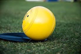 Image result for Longside & District Bowling Club