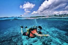 Image result for Scuba Fun