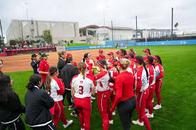 Image result for Lions Softball Club