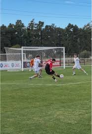 Image result for Rostrevor Hurling Club