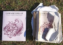 Attēlu rezultāti vaicājumam “Campanula latifolia fruit”