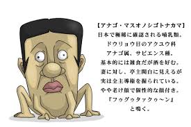 「アナゴさん サザエさん」の画像検索結果