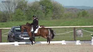 Image result for Jp-Sheffield Eventing