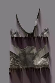 Attēlu rezultāti vaicājumam “Proutia betulina”