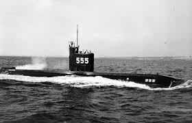 Image result for Dolphin Sub Aqua