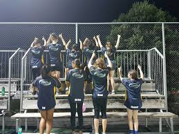 Image result for Engineering Services Netball Club