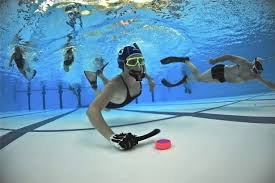 Image result for Underwater Hockey Ireland