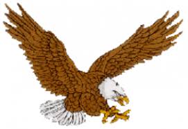 Image result for Effingham and Leatherhead Rfc